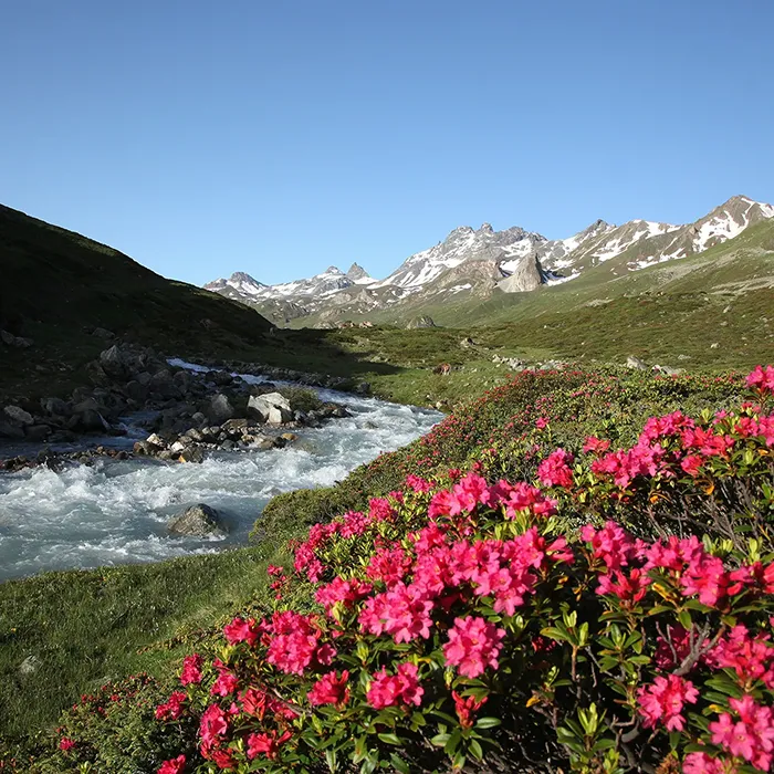 Sonne Ischgl Angebot Fruehbucherrabatt thumb